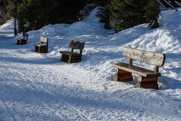 Sitzbänke an der Aletschpromenade, Bettmeralp, Goms, Wallis, Schweiz