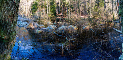 sumpfiger Weiher im Streiflicht winterliche Landschaft mit Reif und Eis