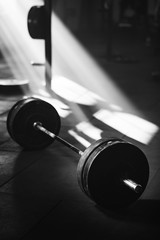 Black and white photo of a barbell in health club.