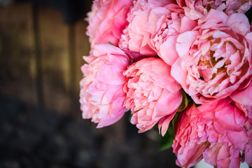 beautiful natural pink peonies close up