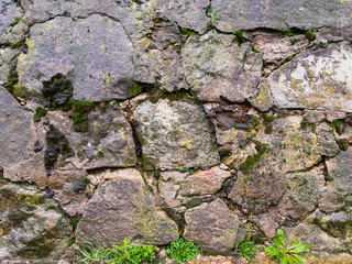 A wall of old stones covered with green moss and wet from rain, photographed in the afternoon under natural light.