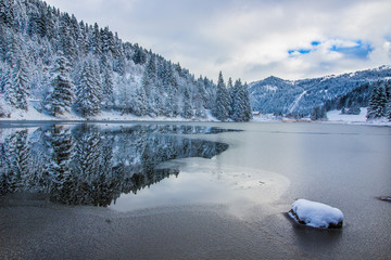 Reflection of a winter landscape in a frozen lake, trees and stone, blue