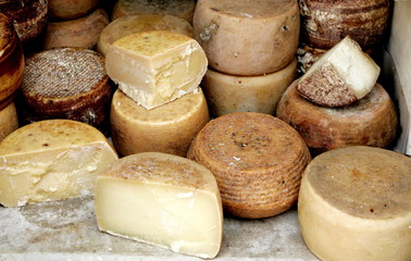 Fototapeta na wymiar Traditional sardinian cheese and cheese with worms. Sardinia, Italy