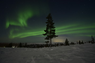 Polar lights, northern lights in Lapland Finland. "auroral oval"