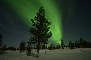 Polar lights, northern lights in Lapland Finland. "auroral oval"