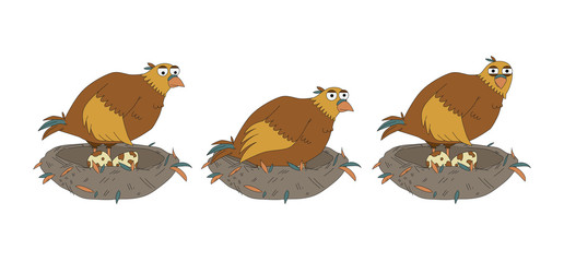 Funny cartoon chicken with eggs in a nest. Vector illustration with bird. 