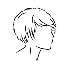 vector illustration of a head, hairstyle short hair