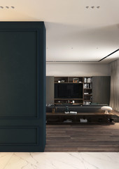 Large living room with tv and home library