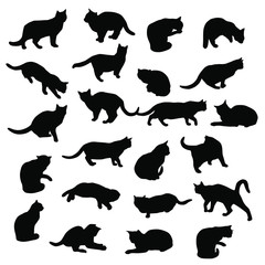 Set vector silhouettes of the cat, different poses, standing, jumping and sitting,  black color, isolated on white background