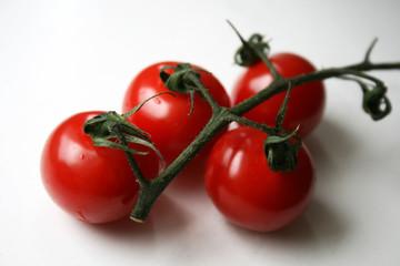 Red juicy cherry tomatoes with water droplets on a green branch on a white background closeup. Selective focus