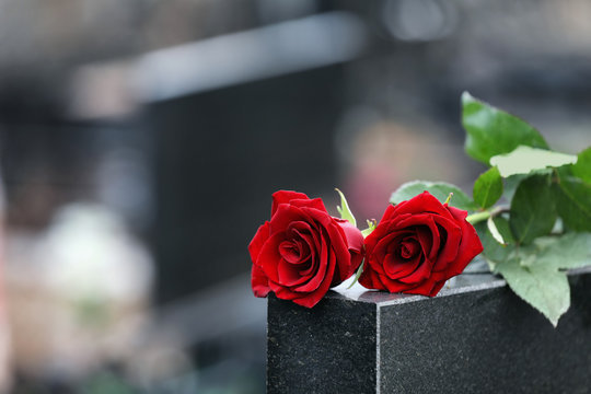 Red roses on black granite tombstone outdoors, space for text. Funeral ceremony