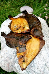 Smoked flatfish on the stone in Jurkalne, Latvia, smoked flounder