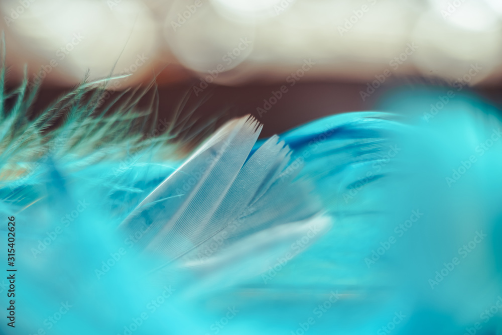 Poster Close up Beautiful blue Bird feather pattern on a bokeh background for design texture.