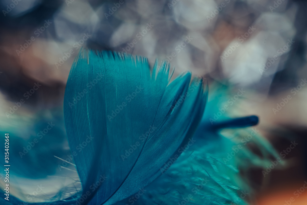 Poster Close up Beautiful blue Bird feather pattern on a bokeh background for design texture.
