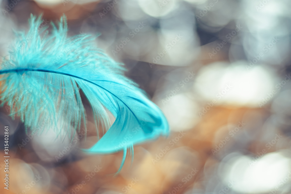 Poster Close up Beautiful blue Bird feather pattern on a bokeh background for design texture.