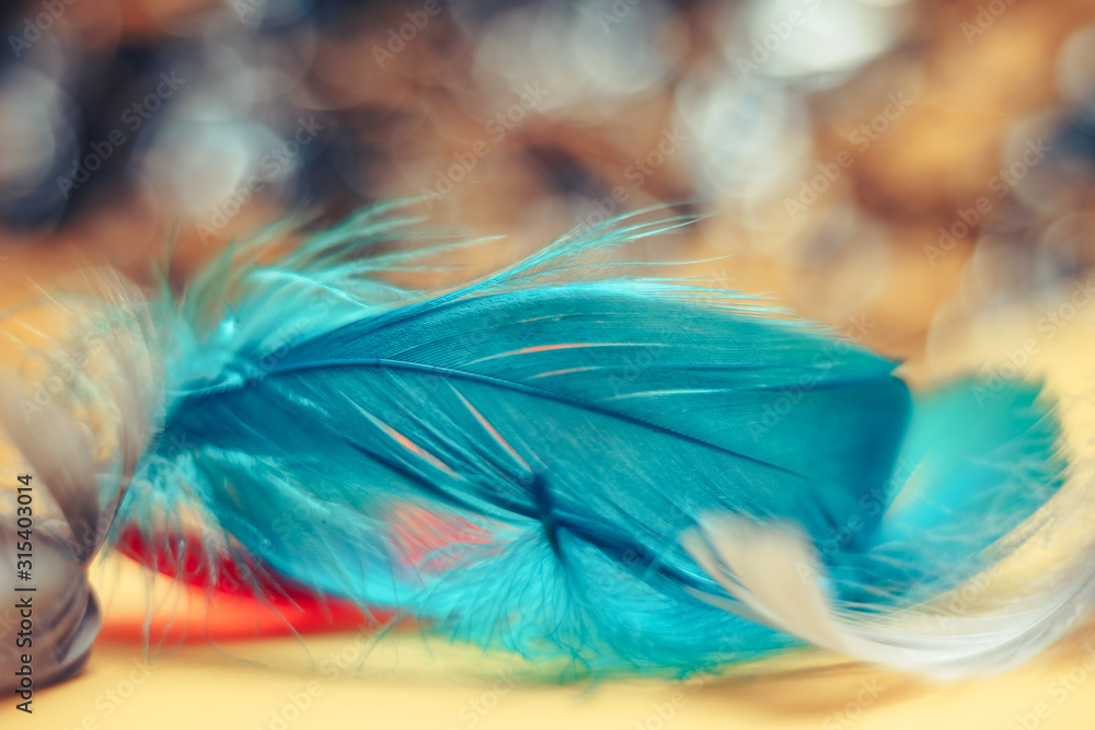 Poster Close up Beautiful blue Bird feather pattern on a bokeh background for design texture.