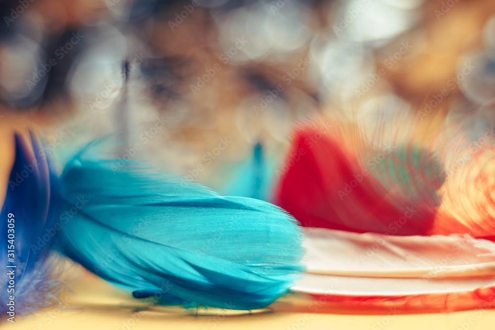 Poster Close up Beautiful multi-colored Bird feather pattern background for design texture.