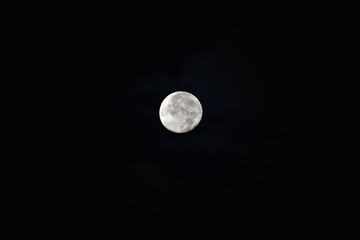 Obraz premium Luna