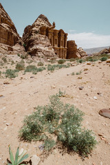 Jordan, desert landscape, ruins of petra, horse and desert, sand, stone, sun, perspective, landscape
