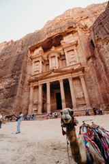Jordan, desert landscape, ruins of petra, horse and desert, sand, stone, sun, perspective, landscape