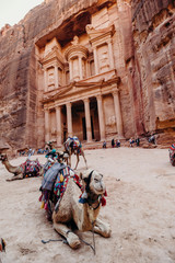 Jordan, desert landscape, ruins of petra, horse and desert, sand, stone, sun, perspective, landscape