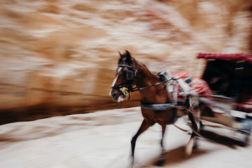Jordan, desert landscape, ruins of petra, horse and desert, sand, stone, sun, perspective, landscape