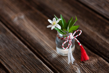 Fresh beautiful bouquet of the first spring forest anemone flowers with red and white cord martisor - traditional symbol of the first spring day on wooden background