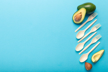 Bioplatic disposable tableware and avocado with seeds