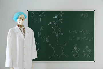 Human skeleton model near chalkboard in classroom