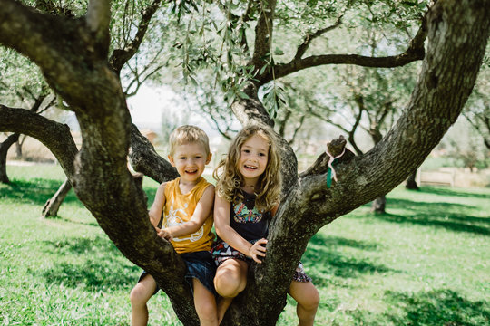 Playful children climbing tree on sunny green meadow