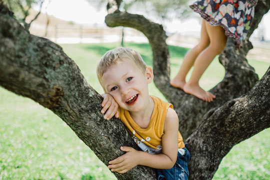 Playful children climbing tree on sunny green meadow