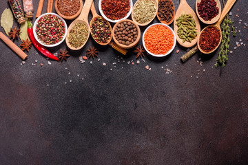 A set of spices and herbs. Indian cuisine. Pepper, salt, paprika, basil and other on a dark background