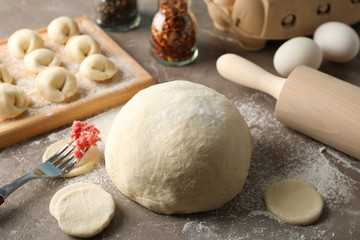 Composition with spices, minced meat and dumplings on grey background, close up