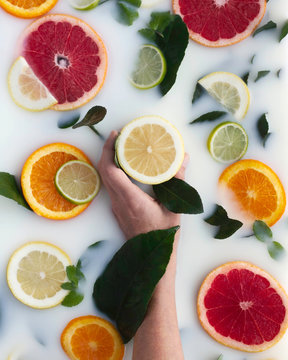 Top view of crop hand touching section of tasty yellow lemon among rounds of colorful lime orange and grapefruit with green leafs in milk bath