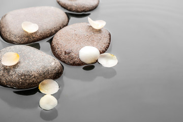 Stones and flower petals in water. Zen lifestyle