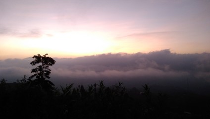 Fototapeta premium Collection Photos