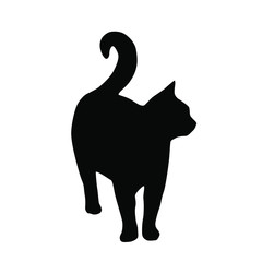 Vector silhouette of the cat, single, standing,  black color, isolated on white background