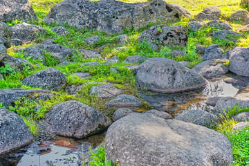 Beautiful pond next to green grass and grey stones