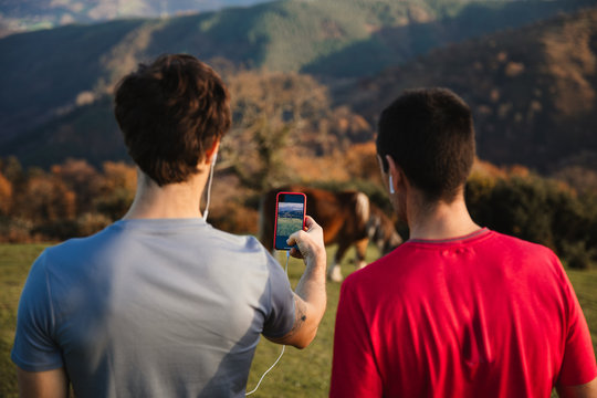 Back view of sportive males standing on top of green hill taking picture with mobile phone of a cow on pasture while enjoying landscape relaxing after running in mountains