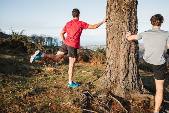 Back view of anonymous sportive male joggers doing stretching exercises leaning on trunk of pine tree and warming up before running in mountains in sunny day