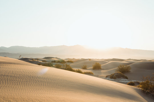 desert in dry sandy dunes in Death Valley USA