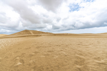 Giant Sand Dunes, New Zealand - obrazy, fototapety, plakaty