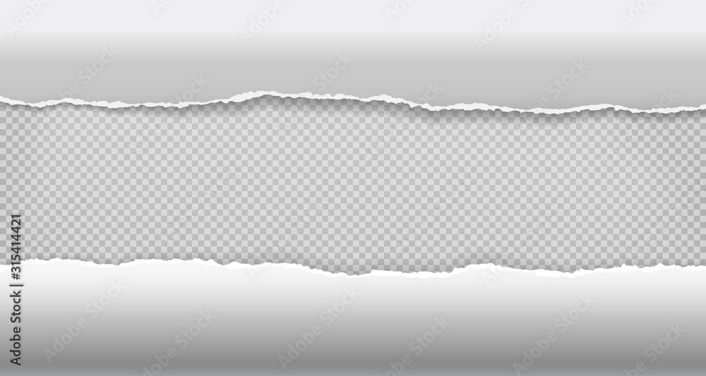 Poster torn, ripped and curled pieces of horizontal white paper with soft shadow are on squared background 