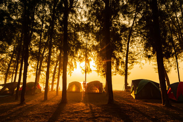 The image of  camping tents and activity on the beach in the morning with golden sky and sunrise. Hat Wannakon, a beach filled with pine trees in Thailand.