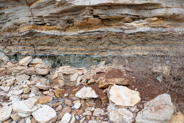  earth texture