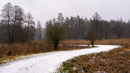 Pochmurny i mglisty dzień w Dolinie Supraśli. Puszcza Knyszyńska, Podlasie, Polska © podlaski49