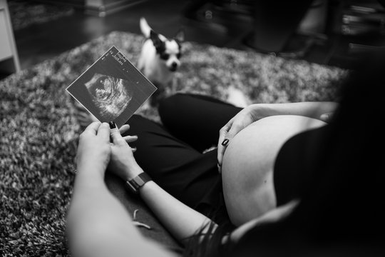 Cropped image of beautiful pregnant woman and her handsome husband holding a sonogram. Pregnancy, maternity, preparation and expectation concept