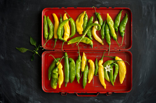 Overhead View Of Yellow And Green Chillies (Capsicum) With Leaves And Flowers In Red Box