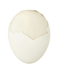 Boiled peeled chicken egg and eggshell isolated on white background. Close up.