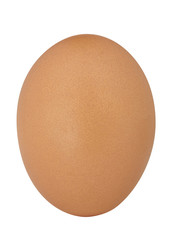 Brown chicken egg isolated on white background. Close up.